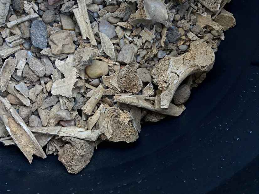 archeobotanický vzorek z žárového hrobu